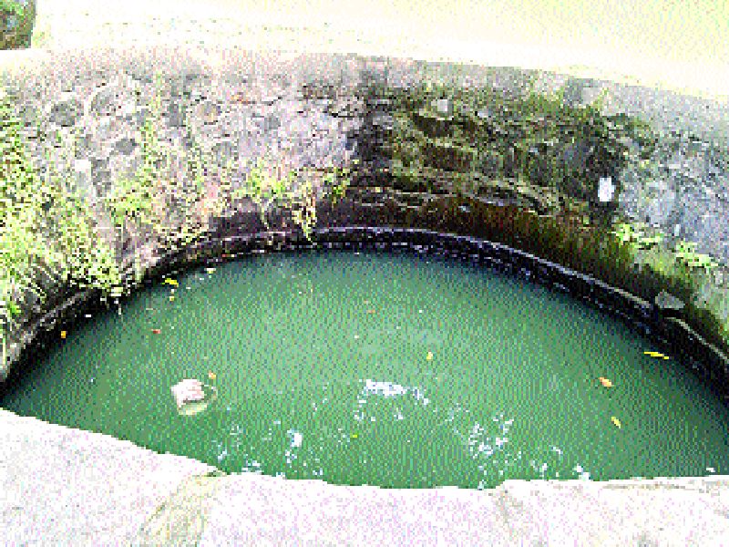  Ignored historic wells, type in Panvel | ऐतिहासिक विहिरी दुर्लक्षित, पनवेलमधील प्रकार