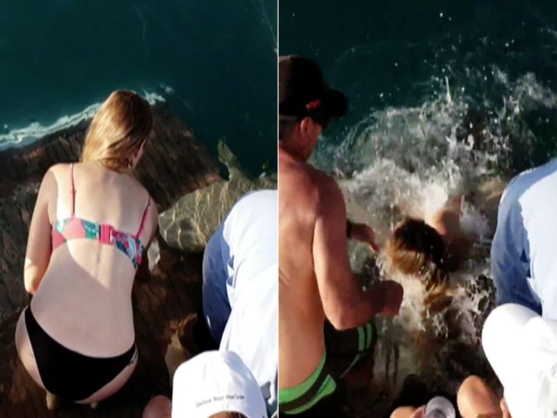 australian woman hand feeding shark gets pulled underwater in viral video | Video : खाता खाता शार्कनं तरुणीलाच पाण्यात खेचलं!