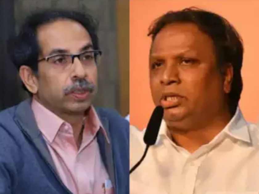 bjp leader ashish shelar attacks shivsena and sanjay raut over various issues | "शिवसेनेची अवस्था खाली डोकं आणि वर पाय अशी झाली आहे"; आशिष शेलारांची टीका