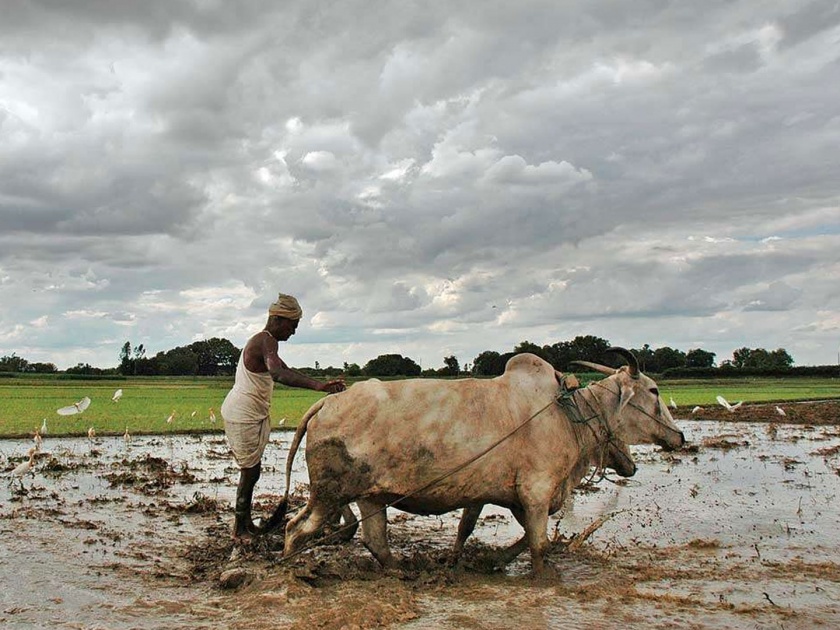 story of farmer double income till 2022 and its consequences | रामभाऊंचं उत्पन्न ‘डबल’ होणार होतं, त्याची कहाणी!