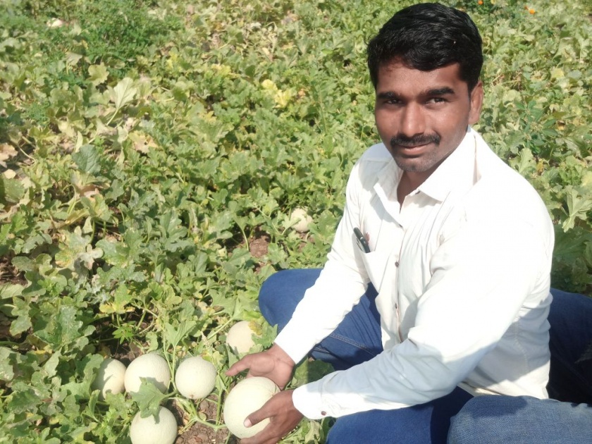 Three lakh melon per acre | दीड एकरात तीन लाखांचे खरबूज