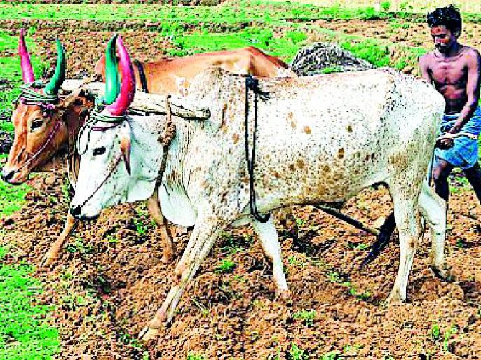 The Prime Minister Farmer's Honor scheme, the account holder of Sangli district bank, is deprived of help | पंतप्रधान शेतकरी सन्मान योजनेचे सांगली जिल्हा बँकेतील खातेदार मदतीपासून वंचित