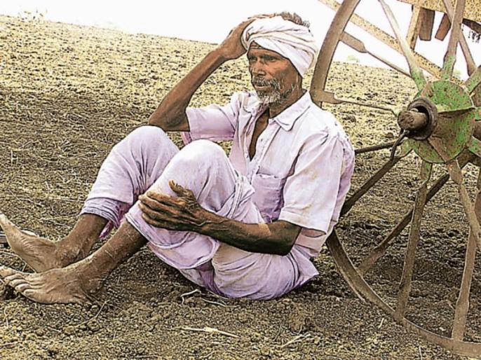 Harvesting farmers by raining hail | पावसाने दडी मारल्याने शेतकरी हवालदिल