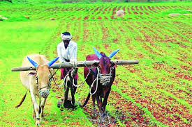 Kharif damages help to five lakh farmers | पाच लाख शेतकऱ्यांना खरीप नुकसानीची मदत