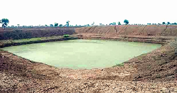 The availability of 12 million liters of water for the farmers of Mehkar taluka! | मेहकर तालुक्यात शेततळ्यांमुळे १२ कोटी लीटर पाण्याची उपलब्धता!