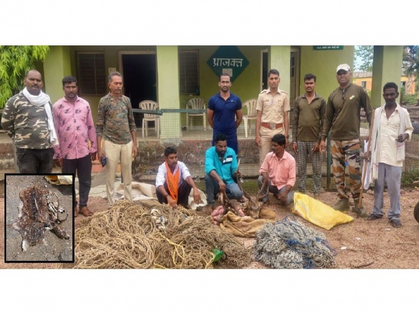 three accused arrested for chital hunting in Painganga sanctuary | पैनगंगा अभयारण्यात चितळाची शिकार, तिघे अटकेत; कातडे व इतर अवयव जप्त