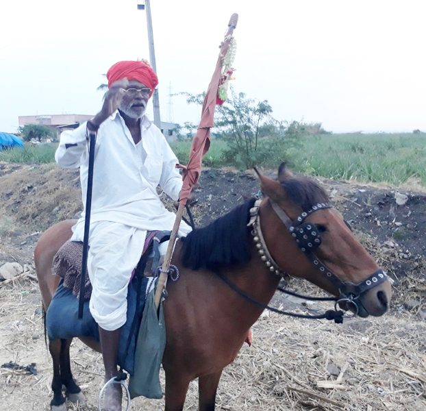 The 65-year-old grandmother's horse riding on the horn | ६५ वर्षीय वयोवृध्द भाविकाची घोड्यावरून शिंगणापूर वारी