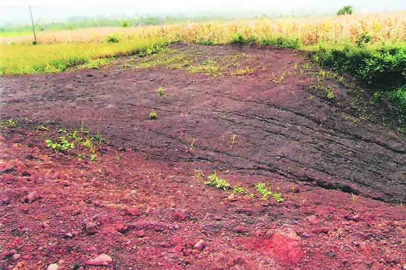 50 lakh hectares degraded land will be made fertile in 10 years Says Prakash Javadekar | मोदी सरकारचा बिग प्लॅन! पुढील 10 वर्षात देशातील शेतकऱ्यांना होणार मोठा फायदा