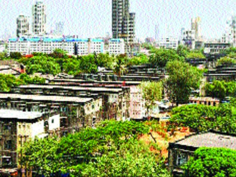 MBPT ready for redevelopment of Sewri BDD | शिवडी बीडीडीच्या पुनर्विकासास एमबीपीटी तयार