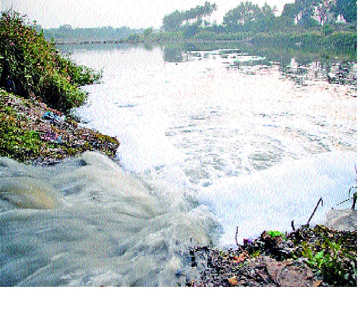  Sangli's Sharina water recharged in Krishna river: Panchnama | सांगली शेरीनाल्याचे पाणी पुन्हा कृष्णा नदीत गटार फुटली : काँग्रेसकडून कारभाराचा पंचनामा