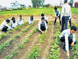 Agricultural education must be compulsory to class X | दहावीपर्यंतच्या शिक्षणात कृषीविषयक अभ्यासक्रम अनिवार्य करावा ! 