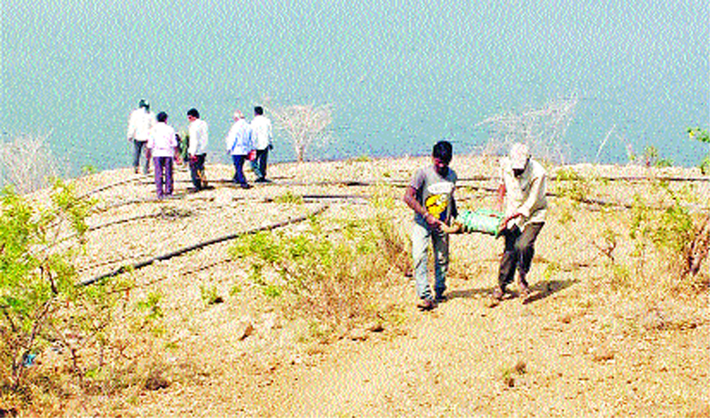 Action on Illegal Agricultural Pumps on Sina-Kollgaon Dam; Farmers threw stones at the team | सीना-कोळगाव धरणावरील बेकायदेशीर शेतीपंपांवर कारवाई; शेतकºयांनी केली पथकावर दगडफेक