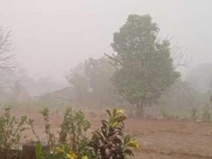 Unseasonal rain in Sindhudurg district; Mango, cashew crops will be affected | सिंधुदुर्ग जिल्ह्यात अवकाळी पावसाची हजेरी; आंबा, काजू पिकांना बसणार फटका 