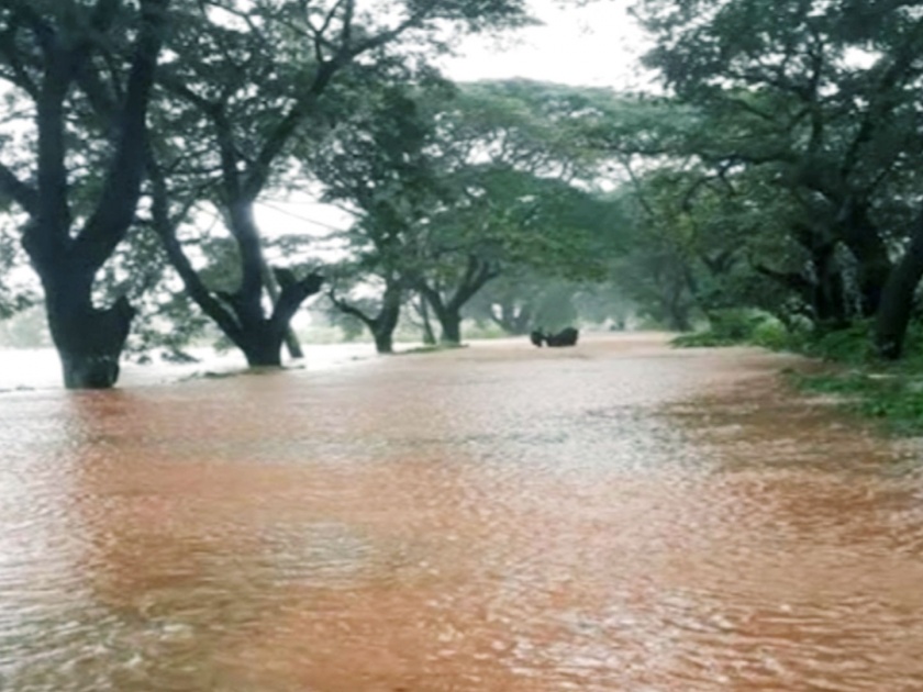 due to heavy rain Talere Kolhapur National Highway underwater | तळेरे कोल्हापूर राष्ट्रीय महामार्ग पाण्याखाली; फोंडाघाटात झाड कोसळून वाहतूक ठप्प 