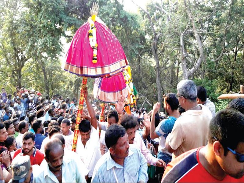 'Jungle girl'! Devotees of Shri Dev Ghodayjam Jatotsaswala, devotees of 360 pilgrims took the view of the devotee | ‘कोंब्यांची जत्रा’! श्री देव घोडेमुख जत्रोत्सवाला भक्तांची गर्दी,  360 चाळ्यांच्या अधिपतींचे घेतले दर्शन