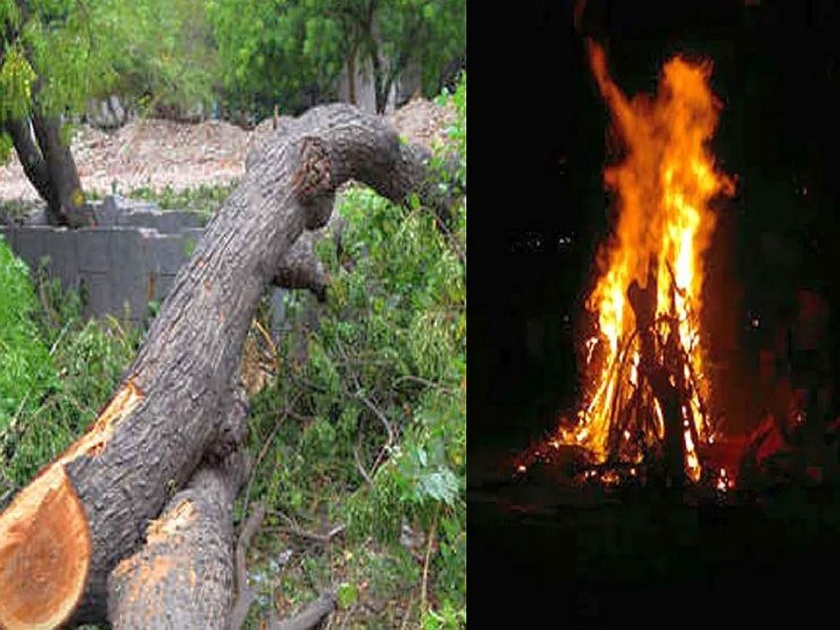 Cutting trees for Holi? Beware; Taking Action warning of Solapur Municipal Corporation | होळीसाठी झाडे तोडताय? खबरदार...; सोलापूर महापालिकेचा कारवाईचा इशारा