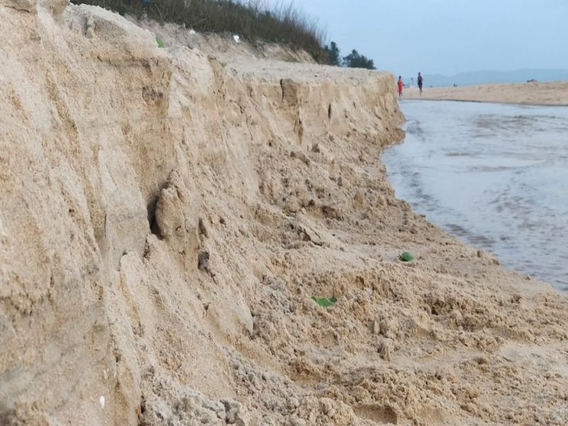 Massive erosion of the coast of Sassati; Colva hit the Banavali parts | सासष्टीच्या किनारपट्टीची मोठ्या प्रमाणावर धूप; कोलवा बाणावली भागांना फटका