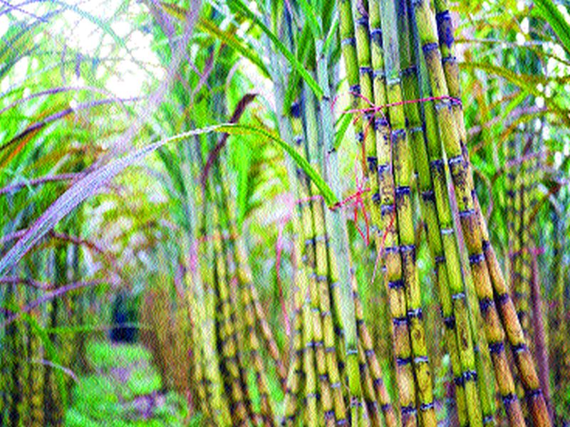 The big challenge of bringing in sugarcane workers; Sugar mills have to be guaranteed safety | ऊसतोड मजुरांना आणण्याचे मोठे आव्हान; साखर कारखान्यांना द्यावी लागेल सुरक्षेची हमी