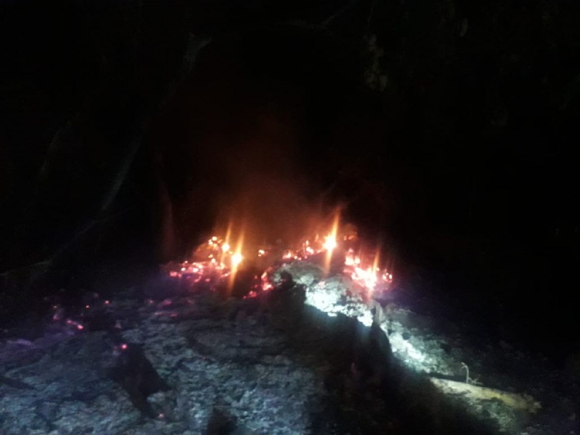 Video: A forest fire broke out in Taljai forest department, a large number of trees were burnt to ashes | Video: तळजाई वन विभागात वनवा भडकला, मोठ्या प्रमाणात झाडं जळून खाक