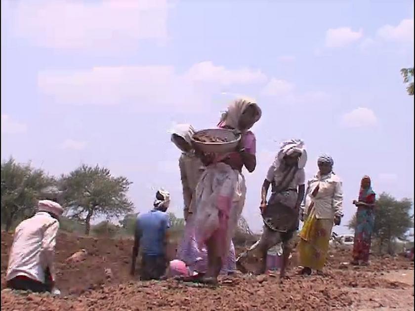 In the drought-like conditions, the demand for labor increased at akola | दुष्काळसदृश परिस्थितीत मजुरांच्या हाताला कामांची मागणी वाढली