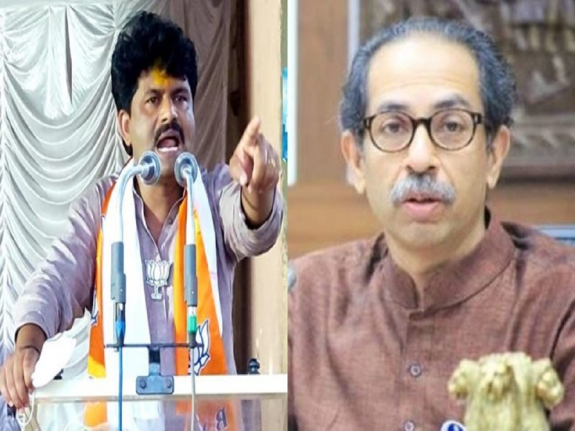 ST Workers Agitation on Azad Maidan; BJP MLA Gopichand Padalkar's allegations against Shiv Sena | एसटीच्या कराचे पैसे मातोश्रीवर जातात; भाजपा आमदार गोपीचंद पडळकरांचा शिवसेनेवर घणाघाती आरोप