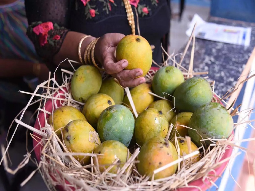 Girl Street Vendor By Buying 12 Mangoes For 1.2 Lakhs, She Buys Smartphone To Attend Online Classes | १२ आंब्यासाठी ‘त्याने’ दिले तब्बल १ लाख २० हजार; काय आहे कारण? ऐकून तुम्हाला कौतुक वाटेल