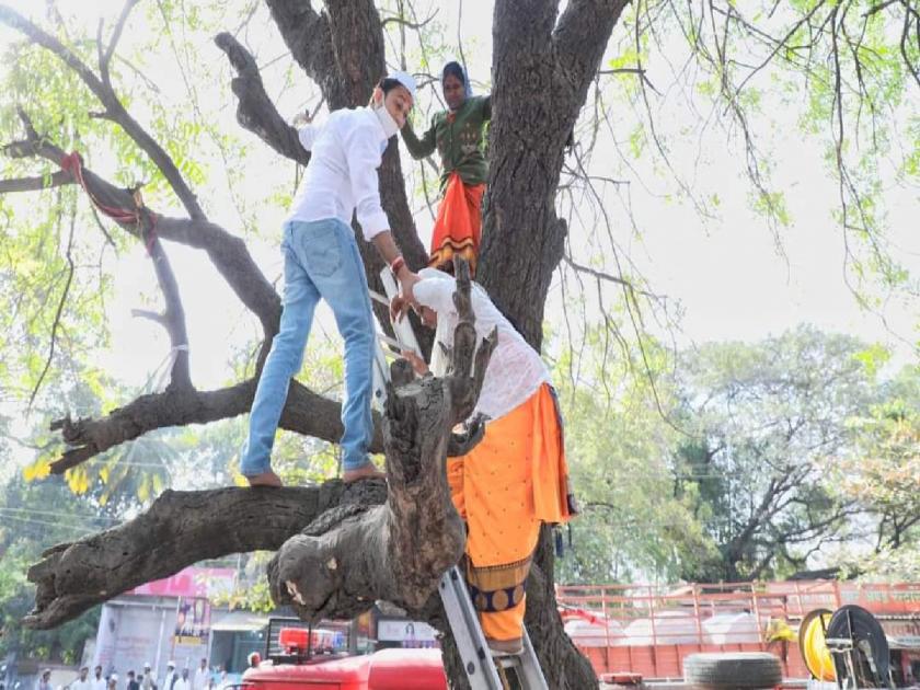 Beed NCP MLA Sandeep Kshirsagar climbed a tree to get the understanding of women agitators | महिला आंदोलकांची समजूत काढण्यासाठी बीडचे आमदार संदीप क्षीरसागर झाडावर चढले, मग...
