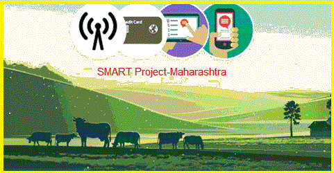 SMART project get approval of State government | राज्यात स्मार्ट प्रकल्पाला तत्त्वत: मान्यता!