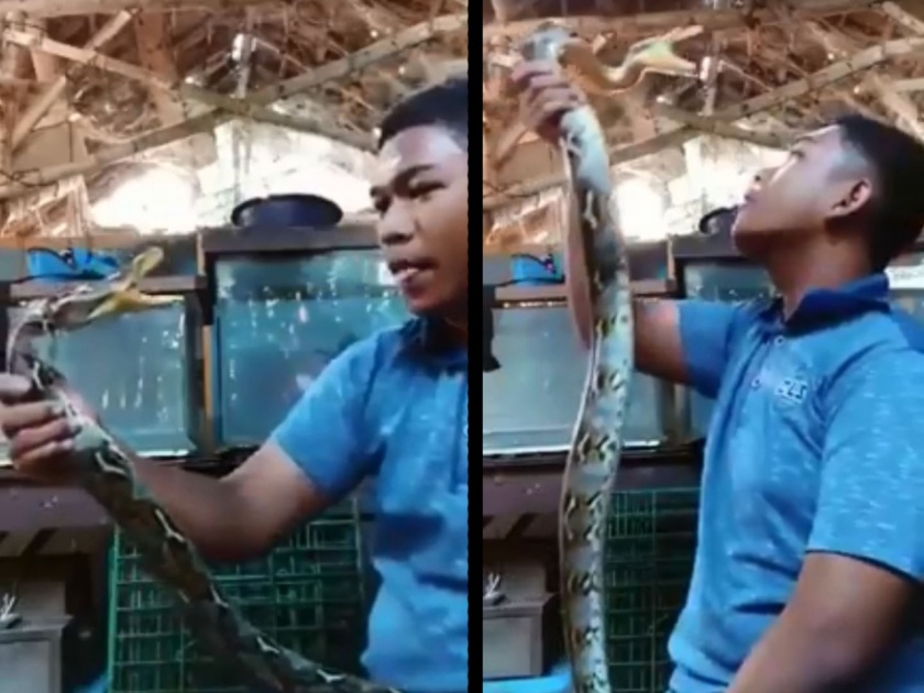 A man fun with snake but reptile bite him watch viral video | सापासोबत मस्ती करणं याला पडलं महागात; व्हिडीओ पाहून व्हाल अवाक्
