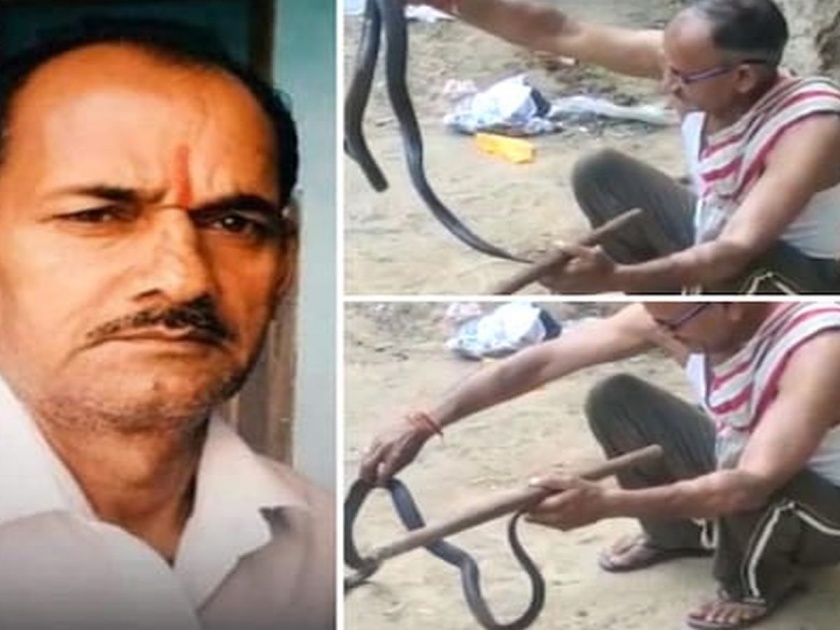Rajasthan: Snakeman who was catching dangerous snakes for 20 years, finally got bitten by a cobra and... | Rajasthan: २० वर्षांपासून खतरनाक सापांना पकडत होता स्नेकमॅन, अखेर कोब्राने दंश केला आणि...