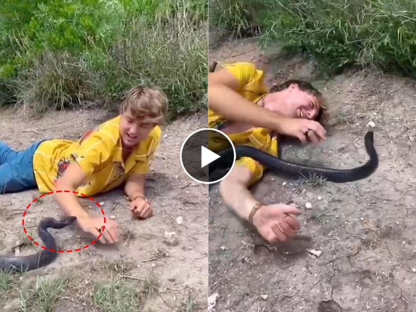 man playing with snake video goes viral on social media | Viral Video: सापाशी मस्ती अंगाशी आली, सापाने असा केला वार की...