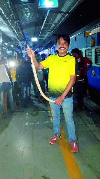 A venomous snake landed on the platform of Ajni railway station | अजनी रेल्वेस्थानकाच्या प्लॅटफार्मवर निघाला विषारी साप
