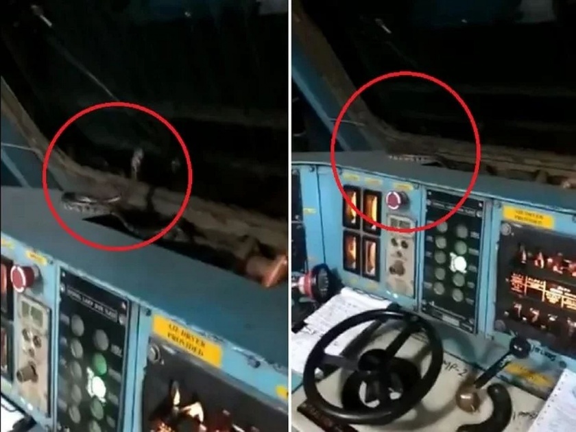 Snake found in Jammu-Udhampur mail engine cabin scares loco pilot | Video : रेल्वेच्या इंजिनात घुसला साप, ड्रायव्हर घामाघूम....
