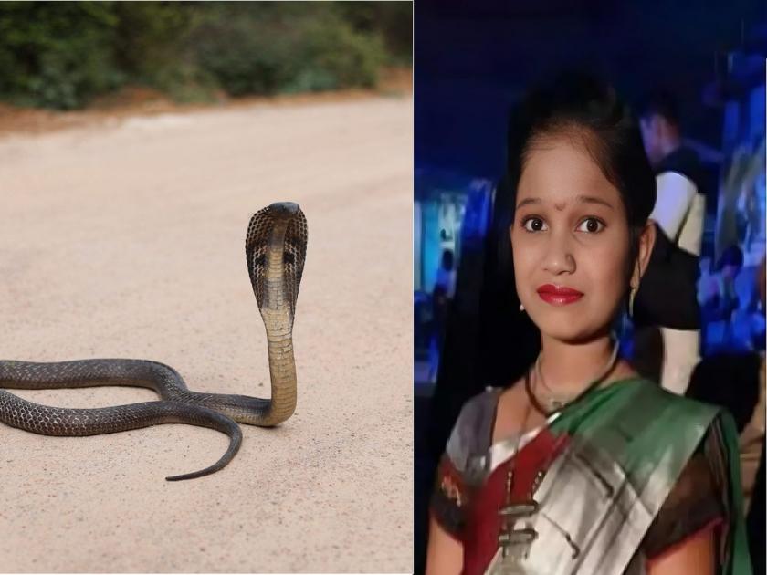 In Raigad, After the snake bite to girl, family visited four hospitals; Girl died due to lack of medicine anywhere | साप चावल्यानंतर 'ती' ४ दवाखाने फिरली; उपचार न मिळाल्याने रायगडच्या लेकीचा मृत्यू