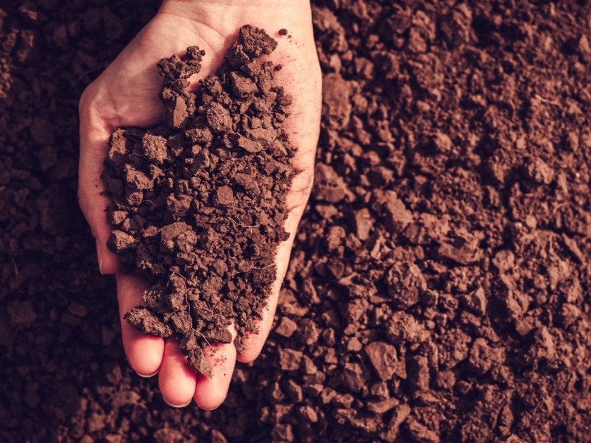 Soil is the real wealth of the nation | माती हीच राष्ट्राची खरी संपत्ती