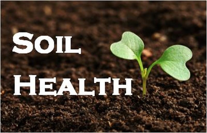 Soil health improves soil texture | ‘मृदा आरोग्य’ मुळे जमिनीची पोत सुधारली