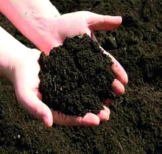 The health of soil in agriculture is very bad in Aurangabad district | औरंगाबाद जिल्ह्यात शेतीतील मातीचे आरोग्य बिघडतेय