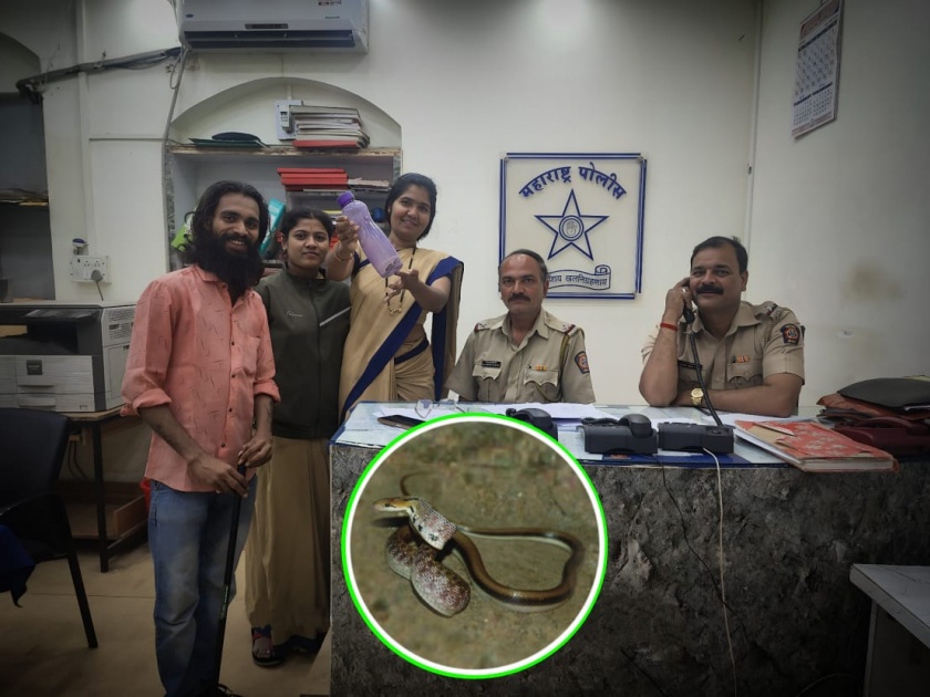 on the very day of nag panchami a snake went to the rural police headquarters | बापरे... चक्क नागपंचमीच्या दिवशीच ग्रामीण पोलीस मुख्यालयात निघाला साप