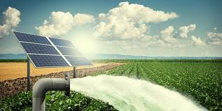In five years, the target of 10 thousand solar pumps incomplete | पाच वर्षांतही १० हजार सौर पंपांचे उद्दिष्ट अपूर्ण