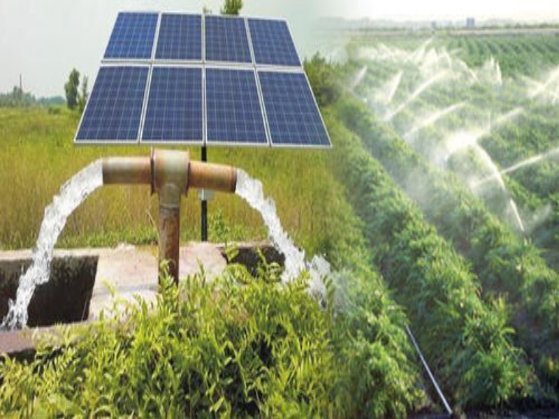 Water is coming on solar power; 295 pumps are active In the district | पुणे जिल्ह्यात सौर ऊर्जेवर येणार शिवारात पाणी ; जिल्ह्यात २९५ पंप कार्यान्वित 