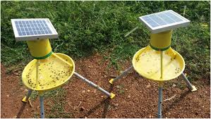  Solar energy-based 'insect trap' developed! | सौर ऊर्जेवर चालणारी ‘कीटक सापळे’ विकसित!