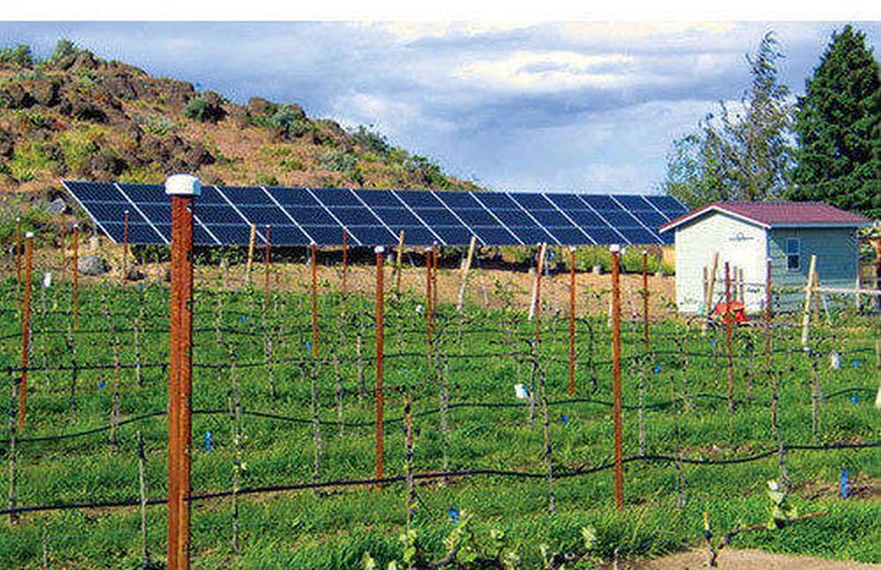 The concept of solar power project to connect electricity to agriculture was lost in the air | कृषीपंपांना वीज जोडणीसाठी सौर विद्यूत प्रकल्पाचा संकल्प हवेतच विरला