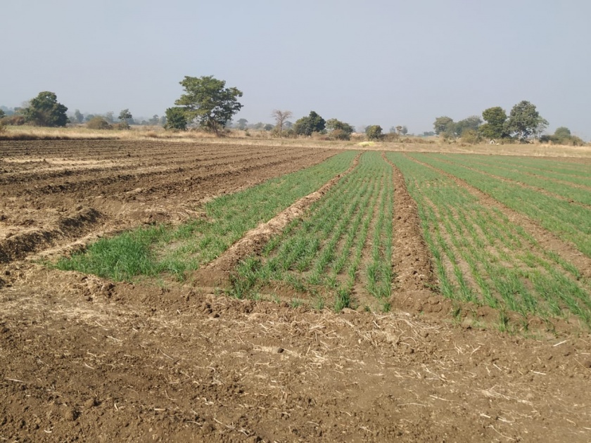 farmers deprived from the Sonal project water! | सोनल प्रकल्पातील पाण्यापासून शेतकरी वंचित !