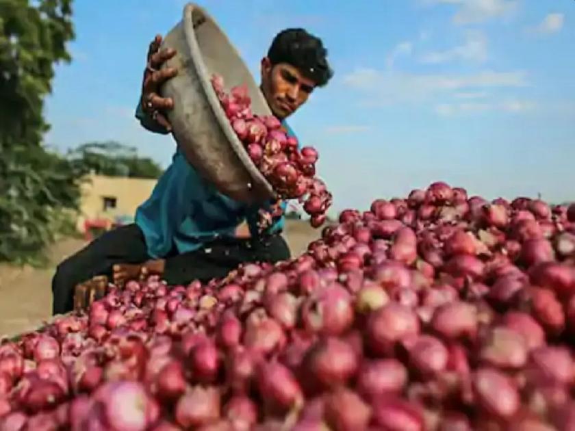 Onion became more expensive; The retail rate in the market committee is Rs. 40 per kg | आवक घटल्यामुळे कांदा महागला; बाजार समितीत किरकोळ दर ४० रुपये किलो