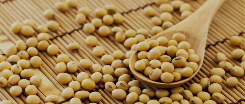 Soybean seed deals-booking turnover in billions; Artificial scarcity in Yavatmal district | सोयाबीन बियाणे सौदे-बुकींग उलाढाल कोट्यवधीत; यवतमाळ जिल्ह्यात कृत्रिम टंचाई
