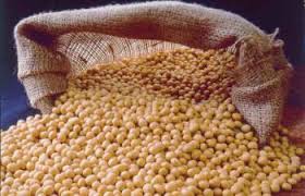  Soybean market rate reduced by Rs. 100 | सोयाबीनच्या बाजारभावात १०० रुपयाने घट
