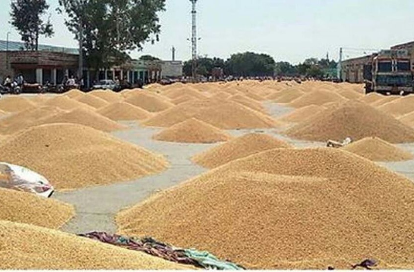The arrival of soybean in the district of Washim has increased, the prices have fallen | वाशिम   जिल्ह्यात सोयाबीनची आवक वाढली, भाव पडलेलेच