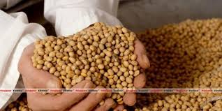 Soybean cost Rs 3025 | सोयाबीनला ३०२५ रुपये भाव