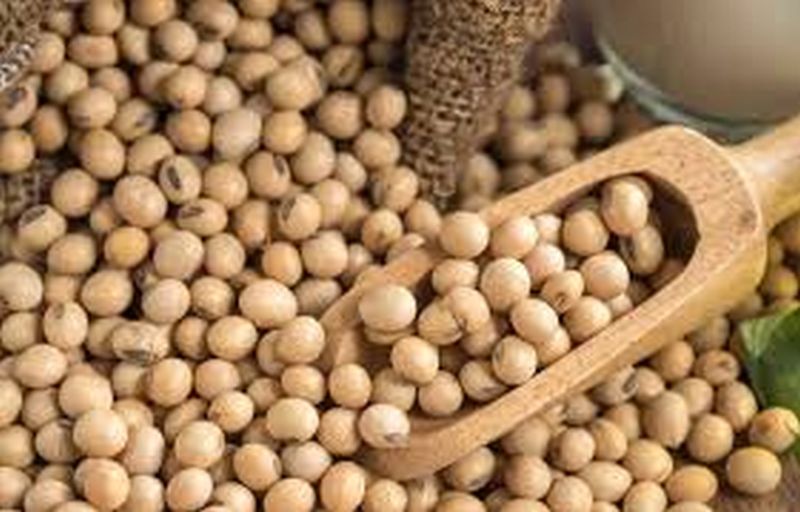 SoyaBeans prices will rise | सोयाबीनचे दर वाढणार