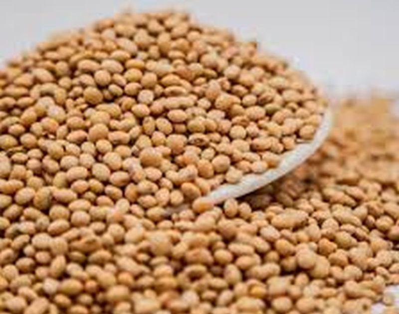 Lack of required documentation; Sales of 1846 bags of soybeans stopped | आवश्यक कागदपत्रांचा अभाव; सोयाबीनच्या १८४६ बॅगची विक्री थांबविली 